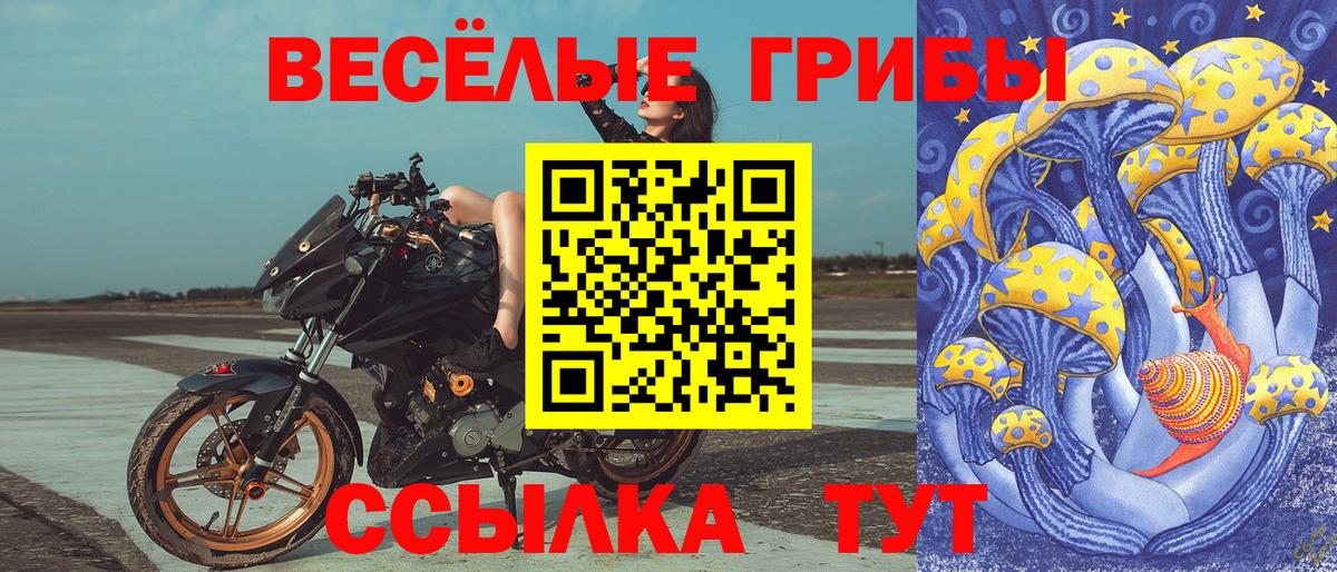 Галлюциногенные грибы ЛСД Кизилюрт