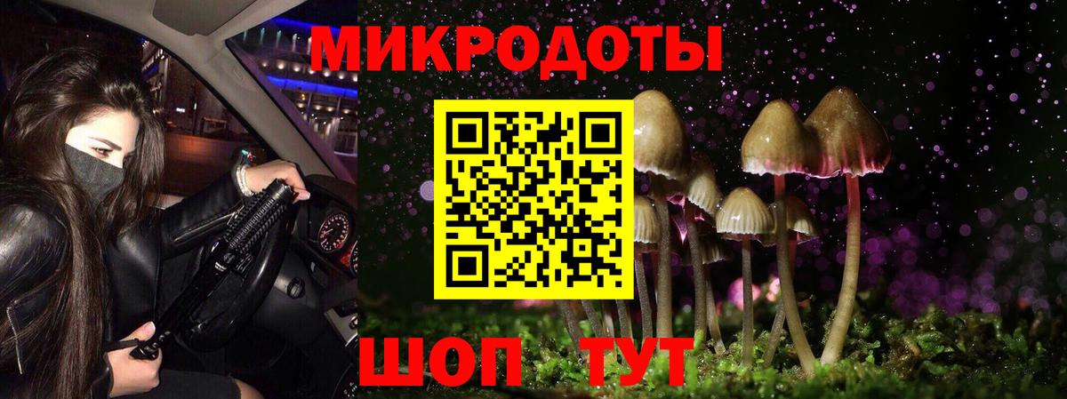 Псилоцибиновые грибы Magic Shrooms  Вход с VPN  Кизилюрт 